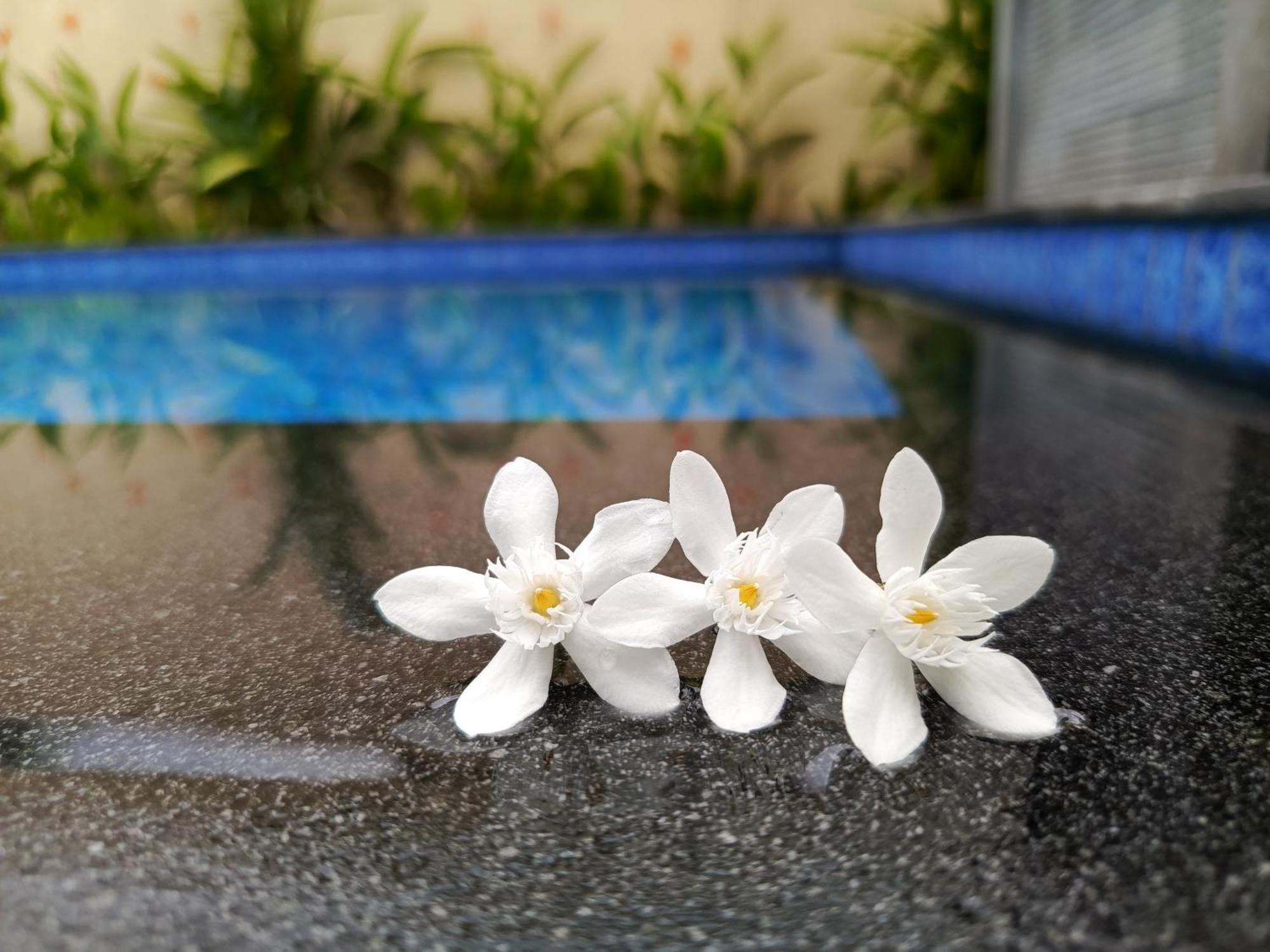 Zavana Rooms & Restaurant Tanjungkarang Kültér fotó
